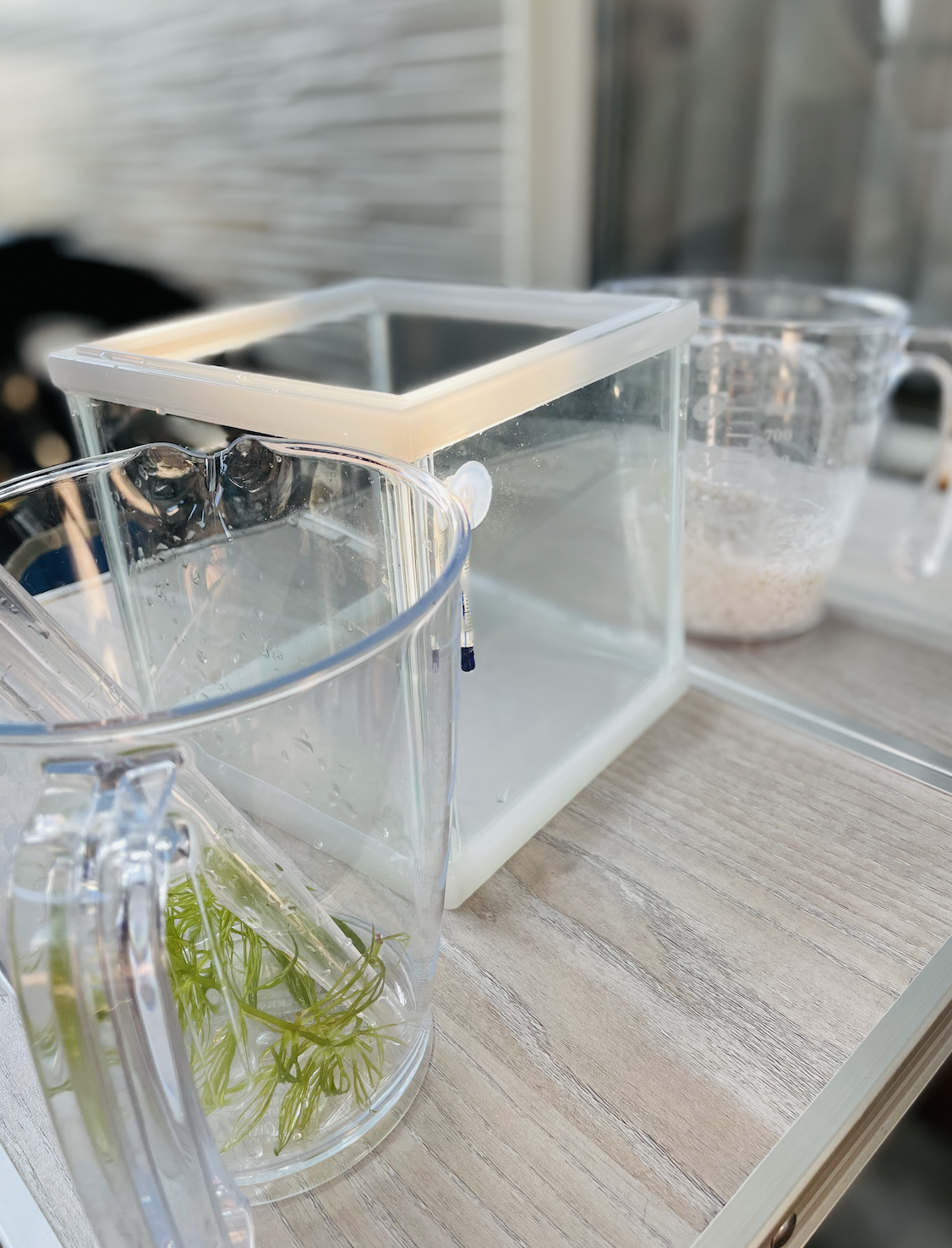 チェルシーアニマルクリニック