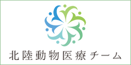 犬 猫 CT フィラリア 富山市 動物病院 富山 滑川 上市 立山 魚津 求人